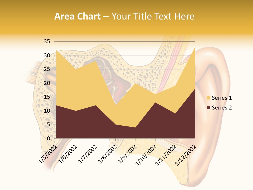 Eardrum Inner Sound PowerPoint Template