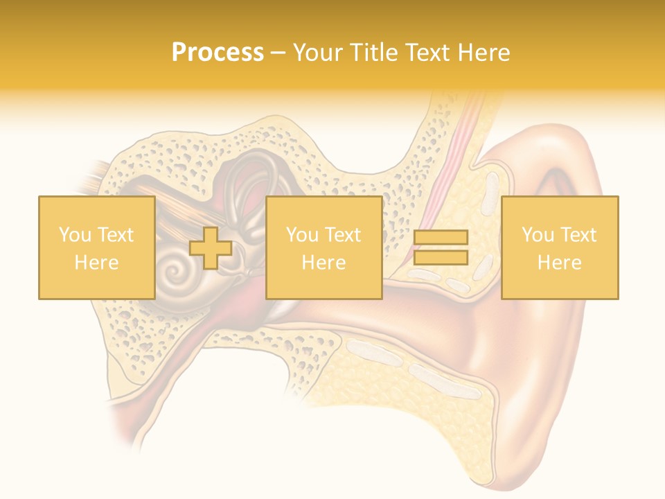 Eardrum Inner Sound PowerPoint Template