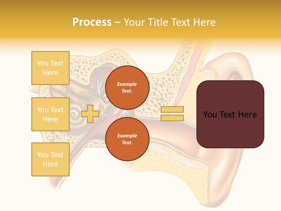 Eardrum Inner Sound PowerPoint Template