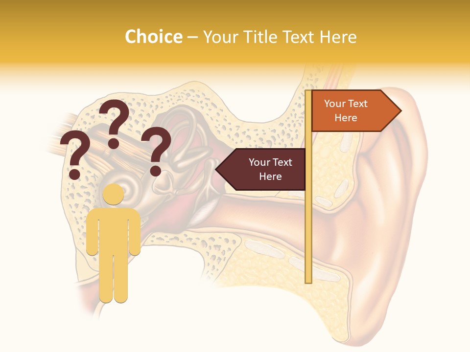 Eardrum Inner Sound PowerPoint Template