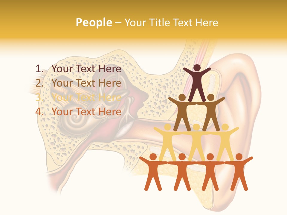 Eardrum Inner Sound PowerPoint Template