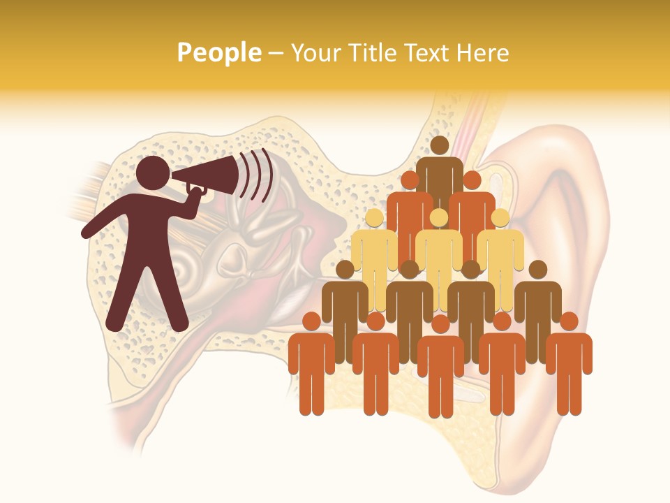 Eardrum Inner Sound PowerPoint Template
