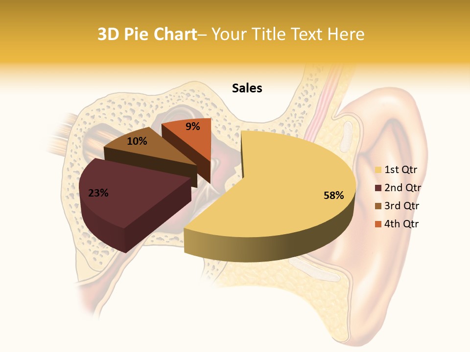 Eardrum Inner Sound PowerPoint Template