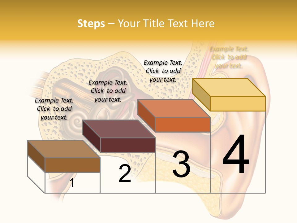 Eardrum Inner Sound PowerPoint Template