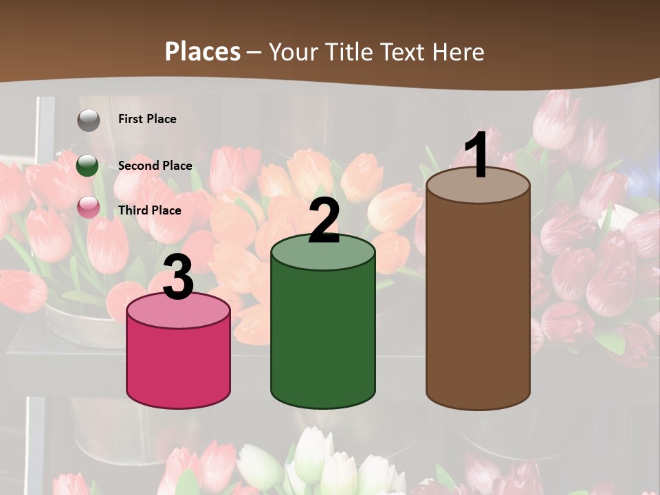 A Bunch Of Flowers That Are On A Shelf PowerPoint Template