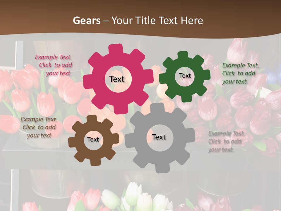 A Bunch Of Flowers That Are On A Shelf PowerPoint Template