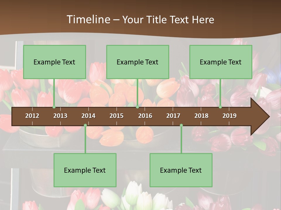A Bunch Of Flowers That Are On A Shelf PowerPoint Template