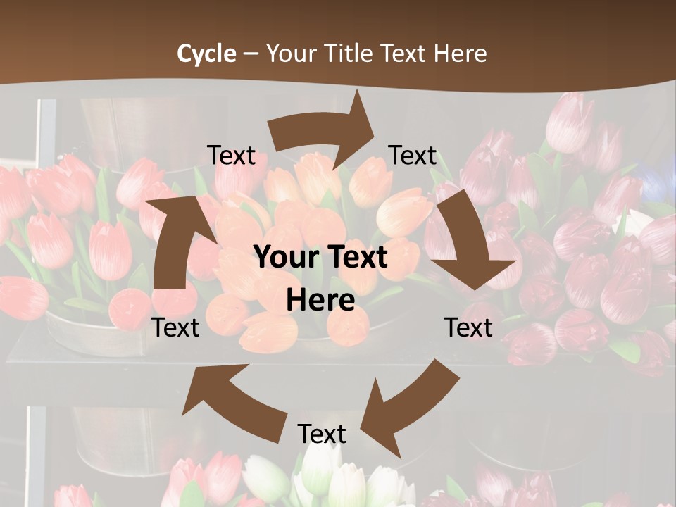 A Bunch Of Flowers That Are On A Shelf PowerPoint Template