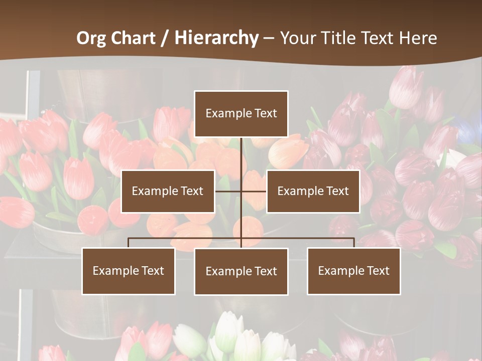 A Bunch Of Flowers That Are On A Shelf PowerPoint Template