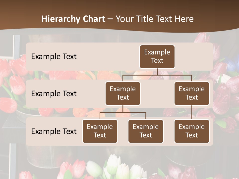 A Bunch Of Flowers That Are On A Shelf PowerPoint Template