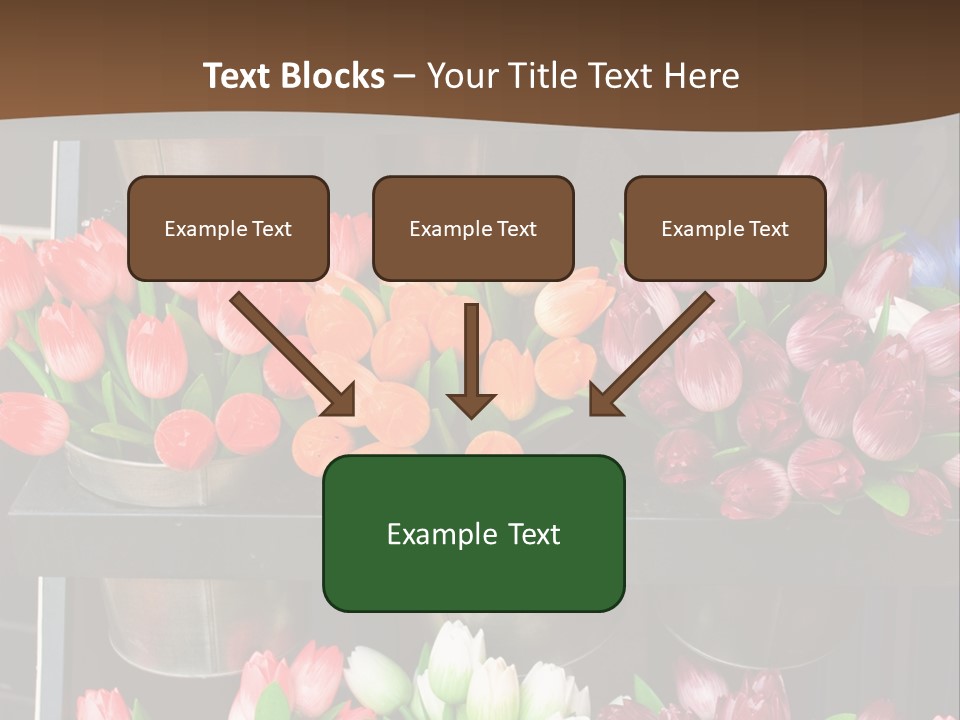 A Bunch Of Flowers That Are On A Shelf PowerPoint Template