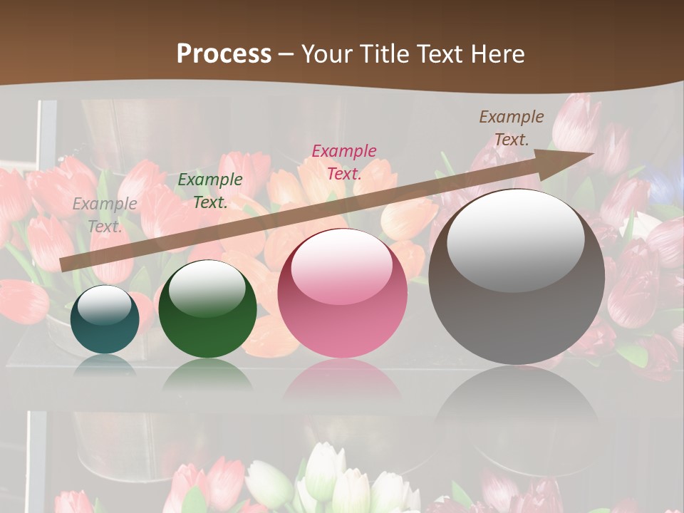 A Bunch Of Flowers That Are On A Shelf PowerPoint Template