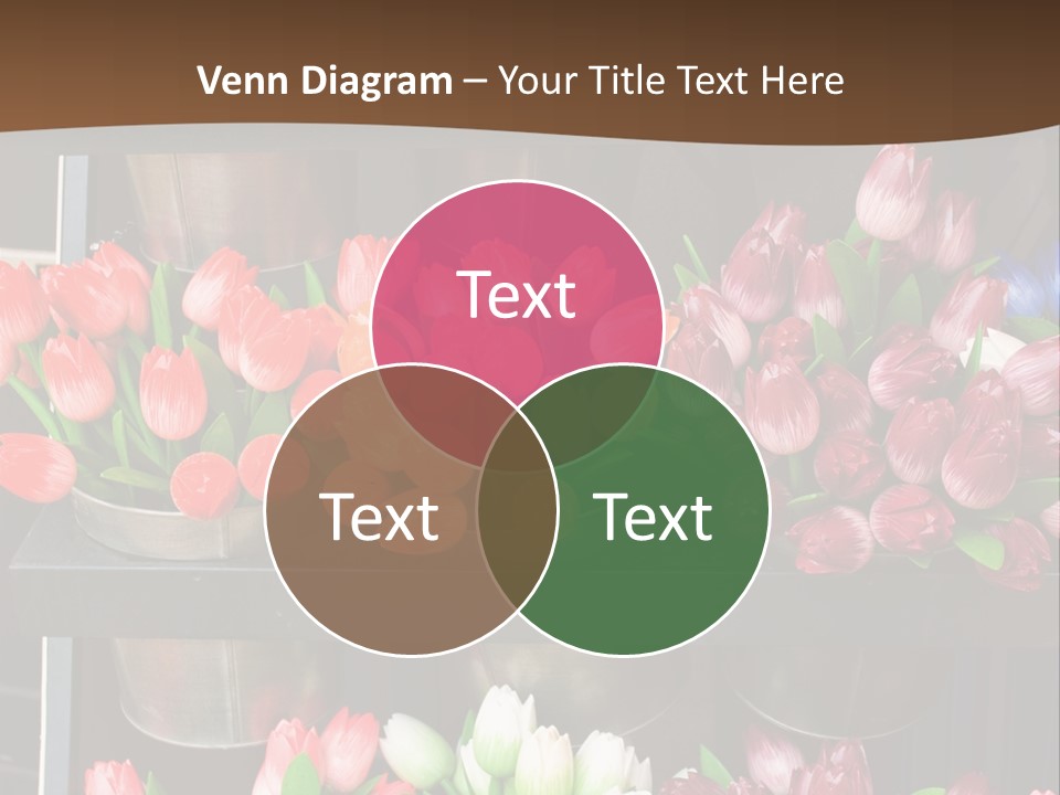 A Bunch Of Flowers That Are On A Shelf PowerPoint Template