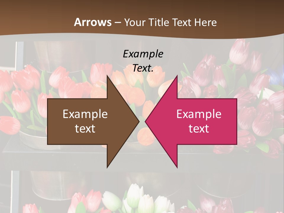 A Bunch Of Flowers That Are On A Shelf PowerPoint Template