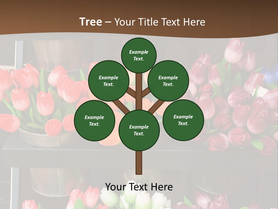 A Bunch Of Flowers That Are On A Shelf PowerPoint Template