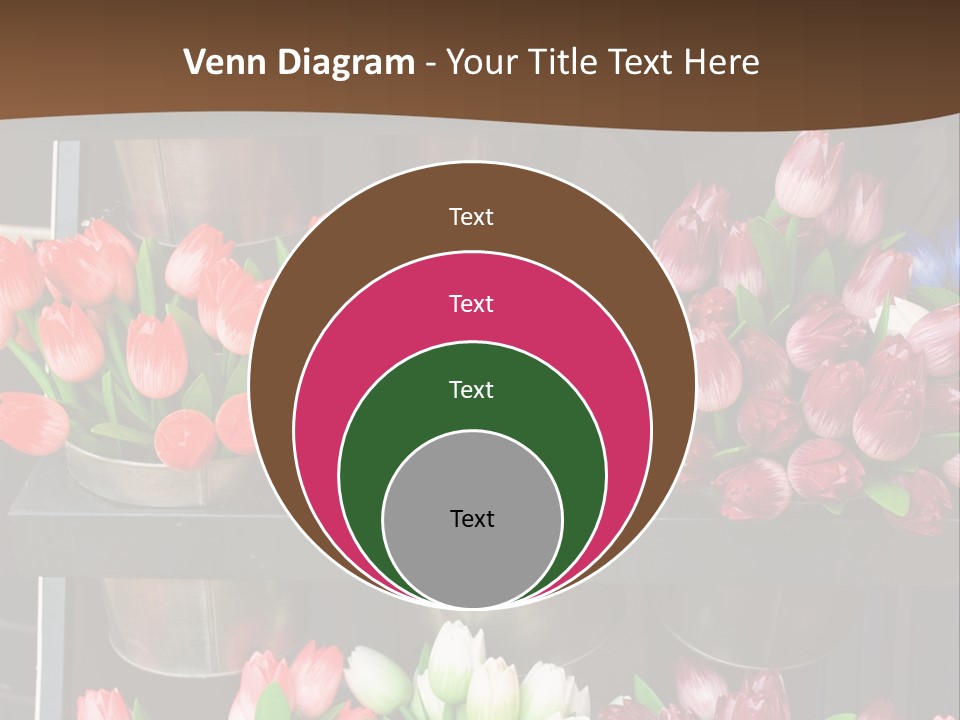 A Bunch Of Flowers That Are On A Shelf PowerPoint Template