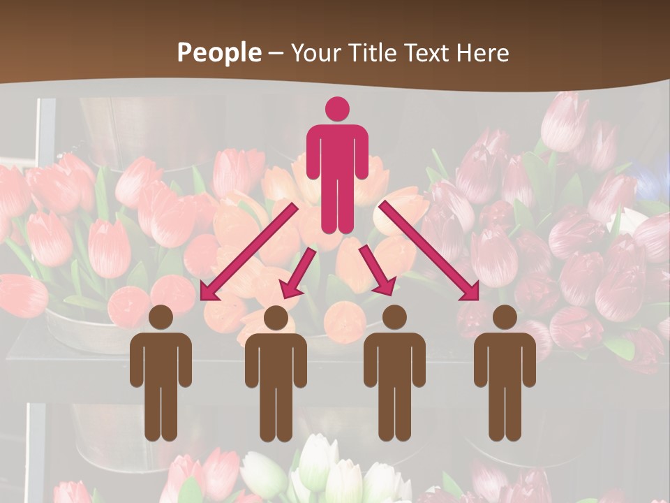 A Bunch Of Flowers That Are On A Shelf PowerPoint Template