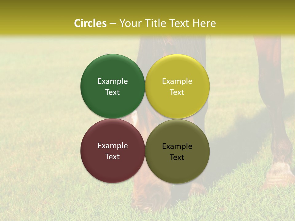 Capuccino Above Foam PowerPoint Template