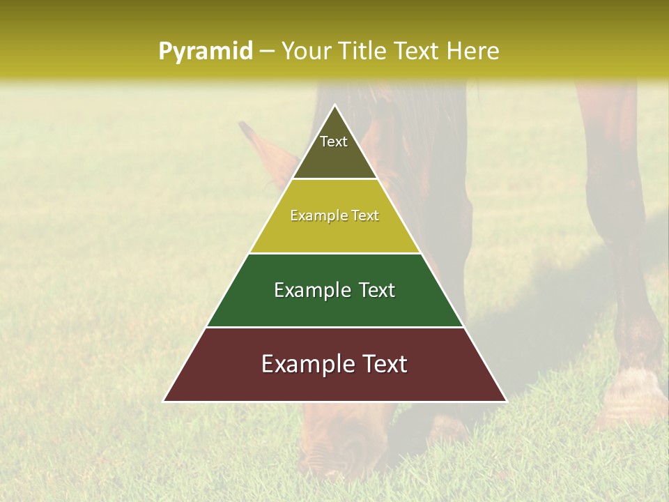 Capuccino Above Foam PowerPoint Template