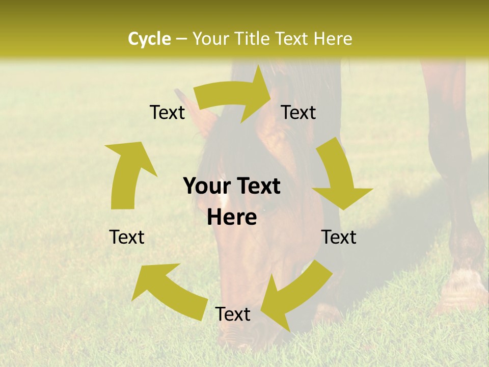 Capuccino Above Foam PowerPoint Template