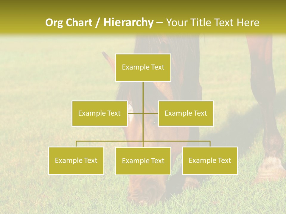 Capuccino Above Foam PowerPoint Template