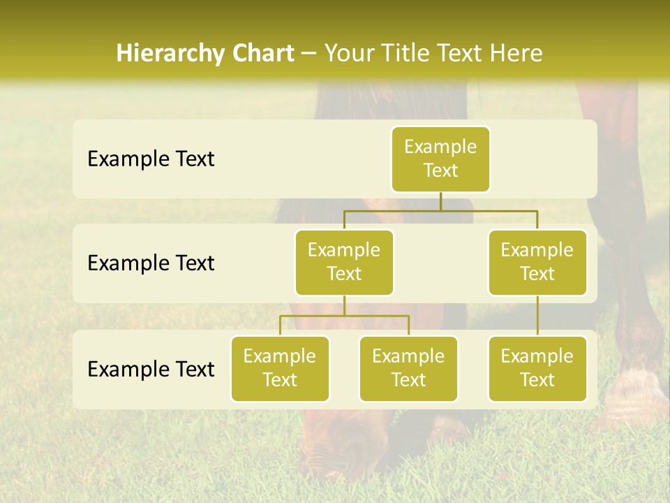 Capuccino Above Foam PowerPoint Template
