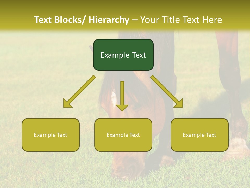 Capuccino Above Foam PowerPoint Template