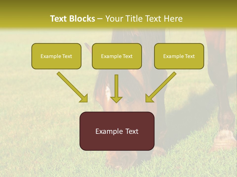 Capuccino Above Foam PowerPoint Template