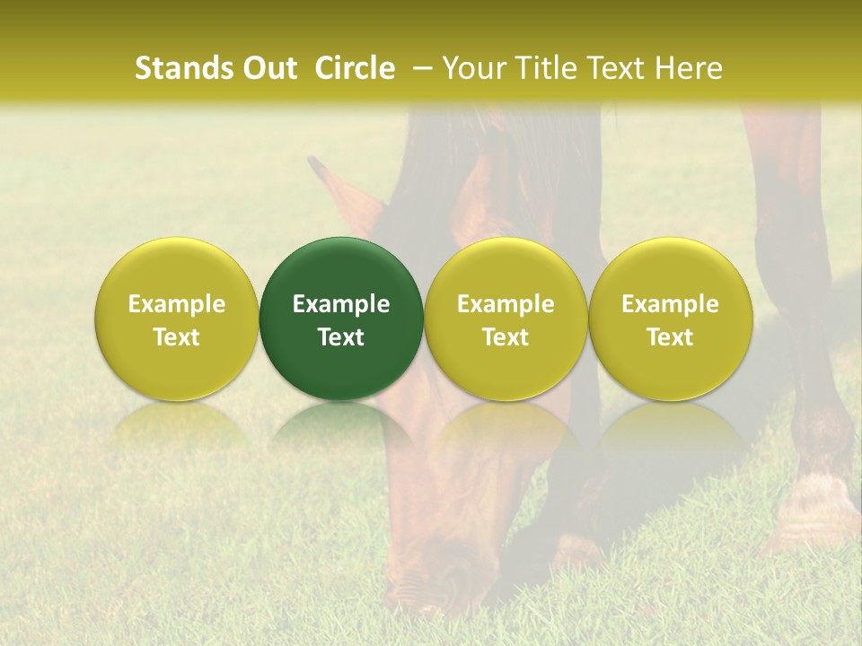 Capuccino Above Foam PowerPoint Template