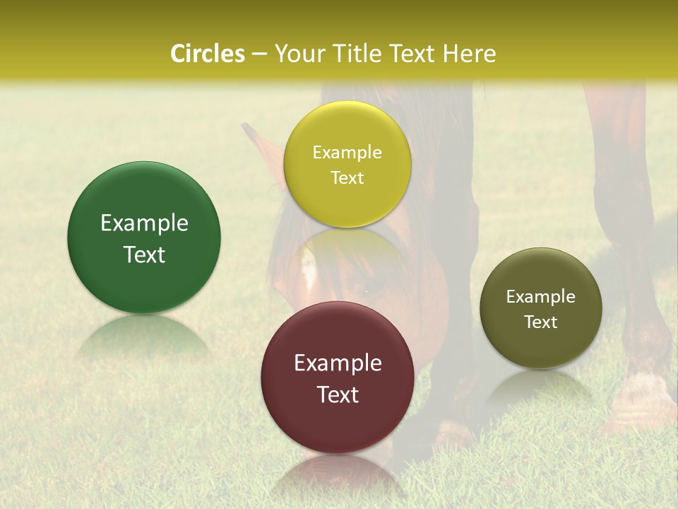 Capuccino Above Foam PowerPoint Template