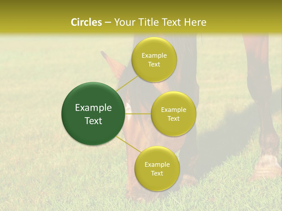 Capuccino Above Foam PowerPoint Template