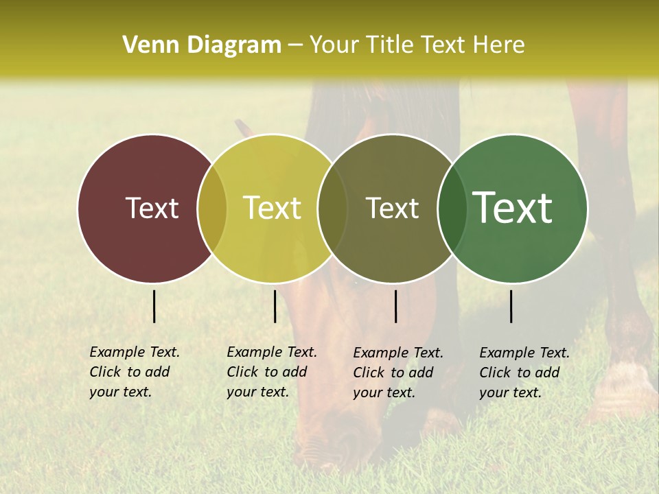 Capuccino Above Foam PowerPoint Template