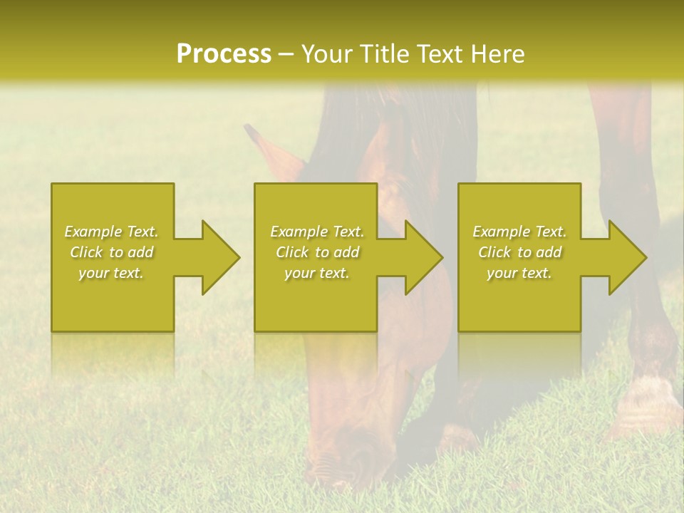 Capuccino Above Foam PowerPoint Template