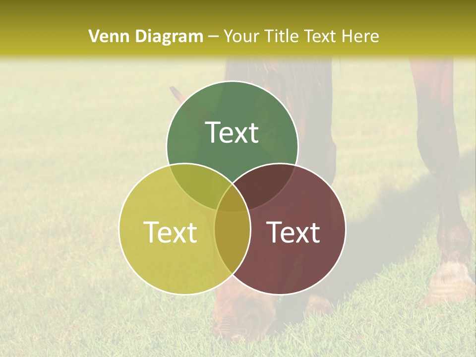 Capuccino Above Foam PowerPoint Template