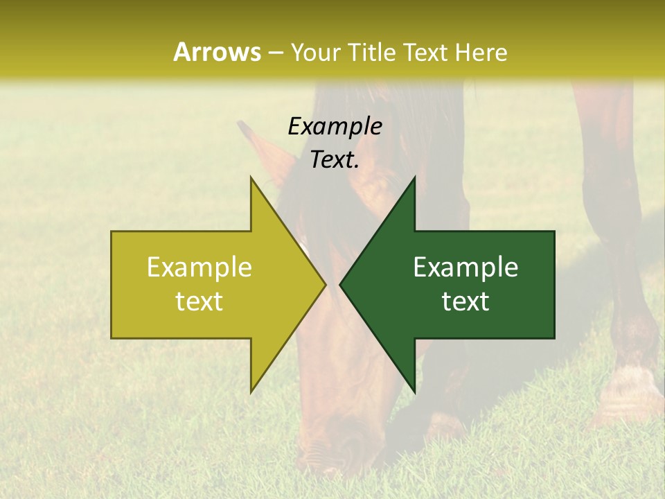 Capuccino Above Foam PowerPoint Template