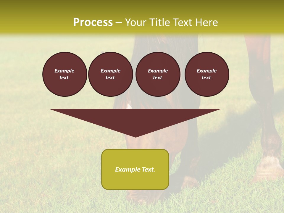 Capuccino Above Foam PowerPoint Template