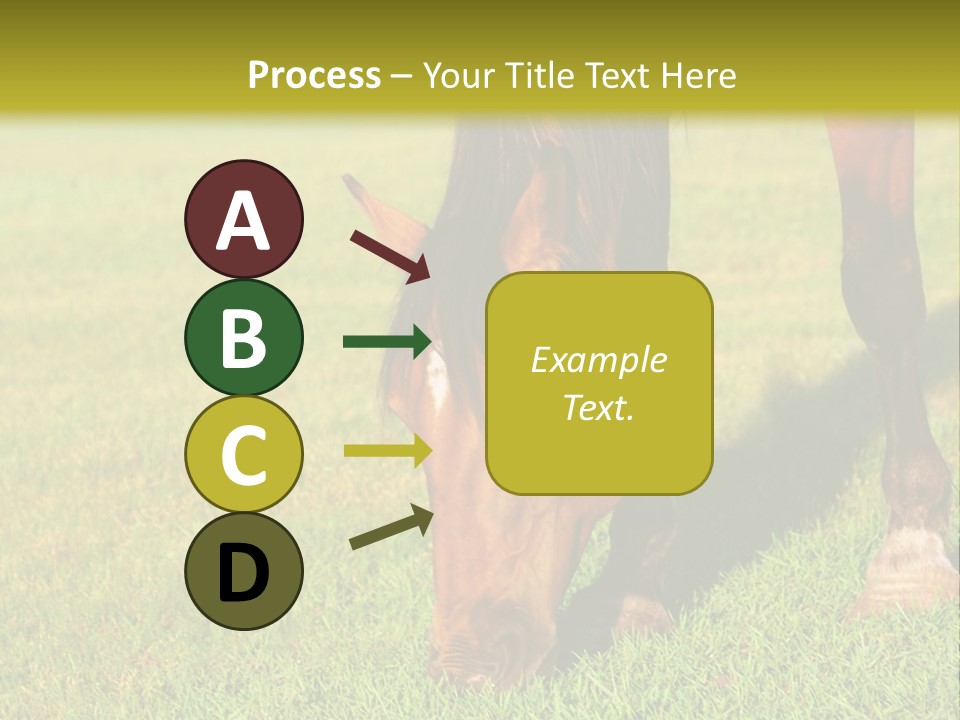 Capuccino Above Foam PowerPoint Template