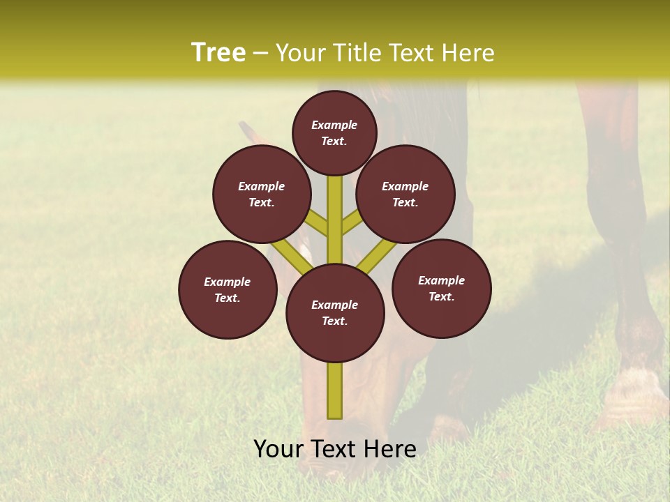 Capuccino Above Foam PowerPoint Template