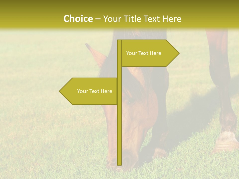 Capuccino Above Foam PowerPoint Template