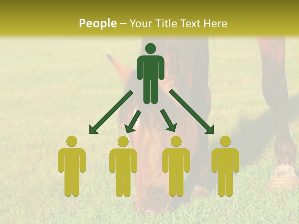 Capuccino Above Foam PowerPoint Template