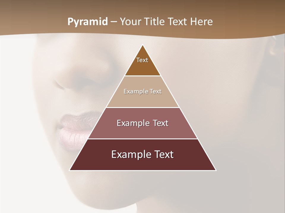 Model Studio American PowerPoint Template