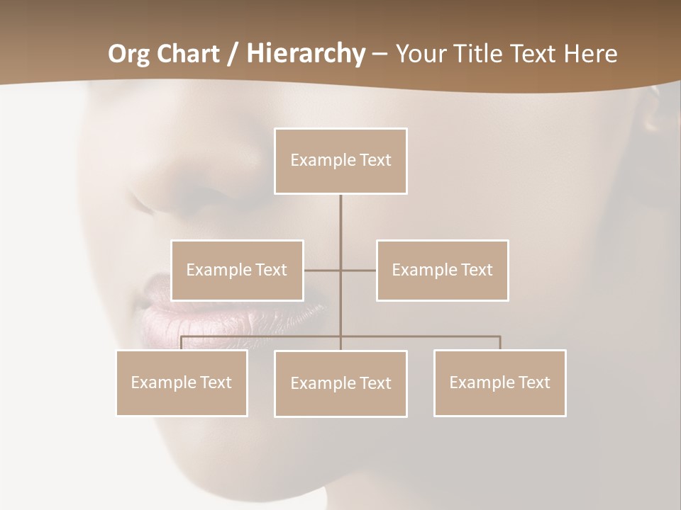 Model Studio American PowerPoint Template