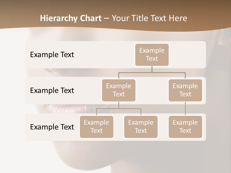 Model Studio American PowerPoint Template