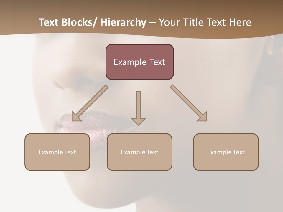 Model Studio American PowerPoint Template