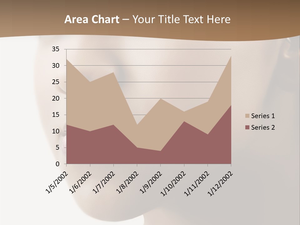 Model Studio American PowerPoint Template