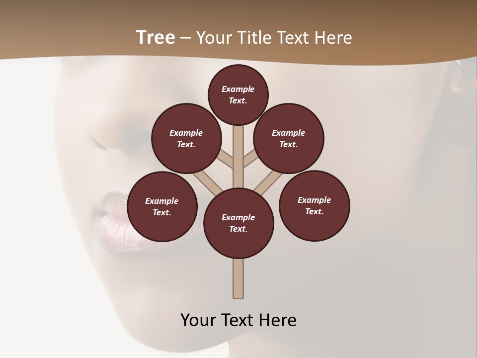 Model Studio American PowerPoint Template