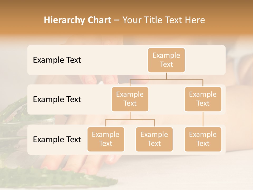 College Education Classical PowerPoint Template