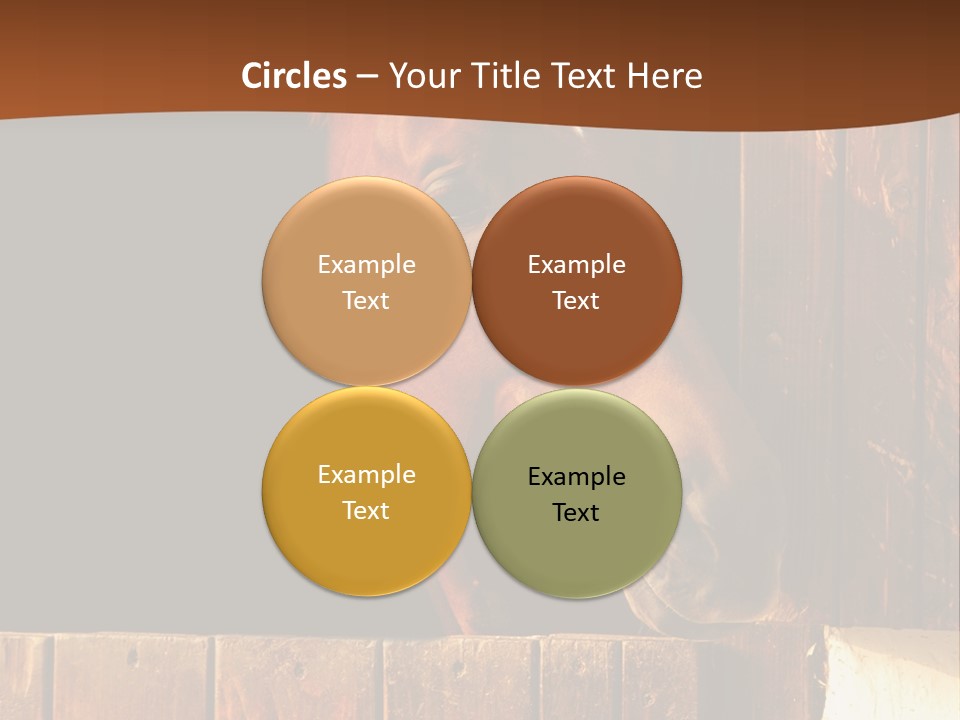 Beauty Champion Head PowerPoint Template