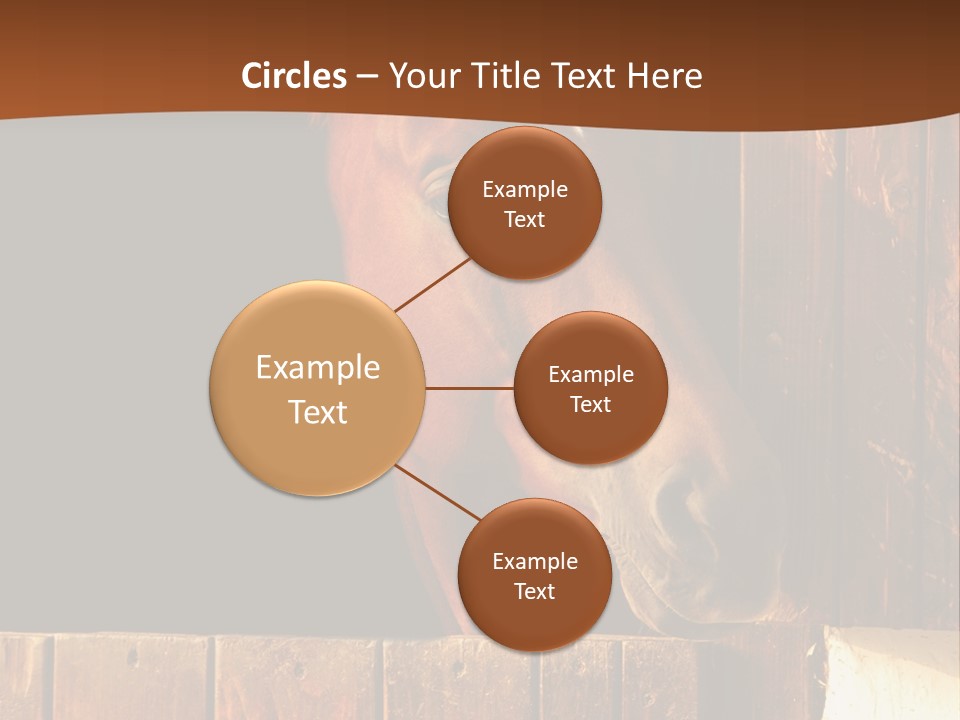 Beauty Champion Head PowerPoint Template