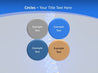 Rheumatism Slipped Disc PowerPoint Template